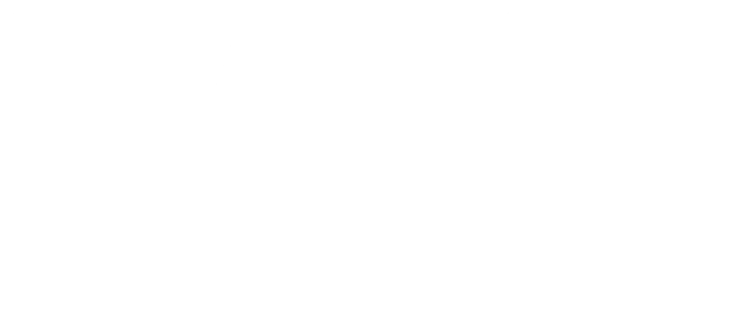 Lane Partners
